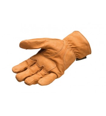 GANTS URBEN NEW KP
